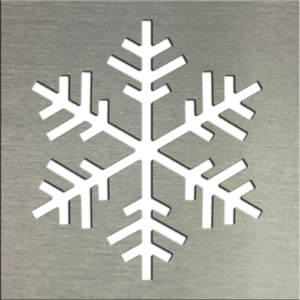 ms200-00049-0404_al_snowflake