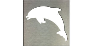 Dolphin Jumping