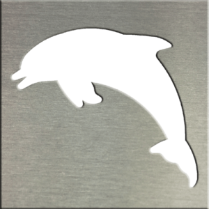 MS200-00257-0404 [Dolphin Jumping]