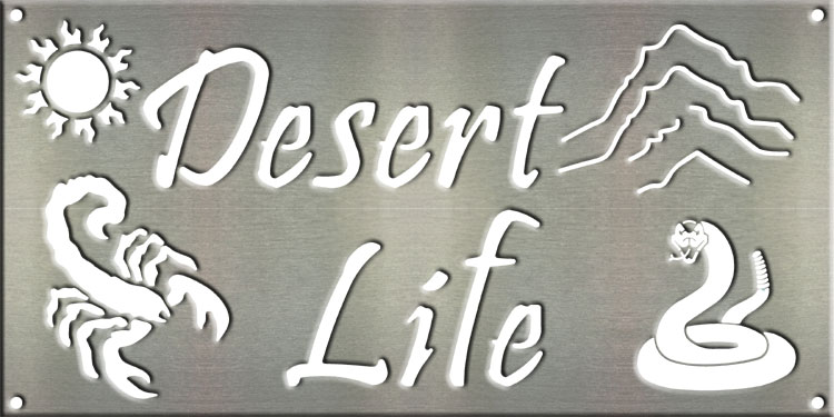 MS250-00031-0816-[Desert-Life]-white